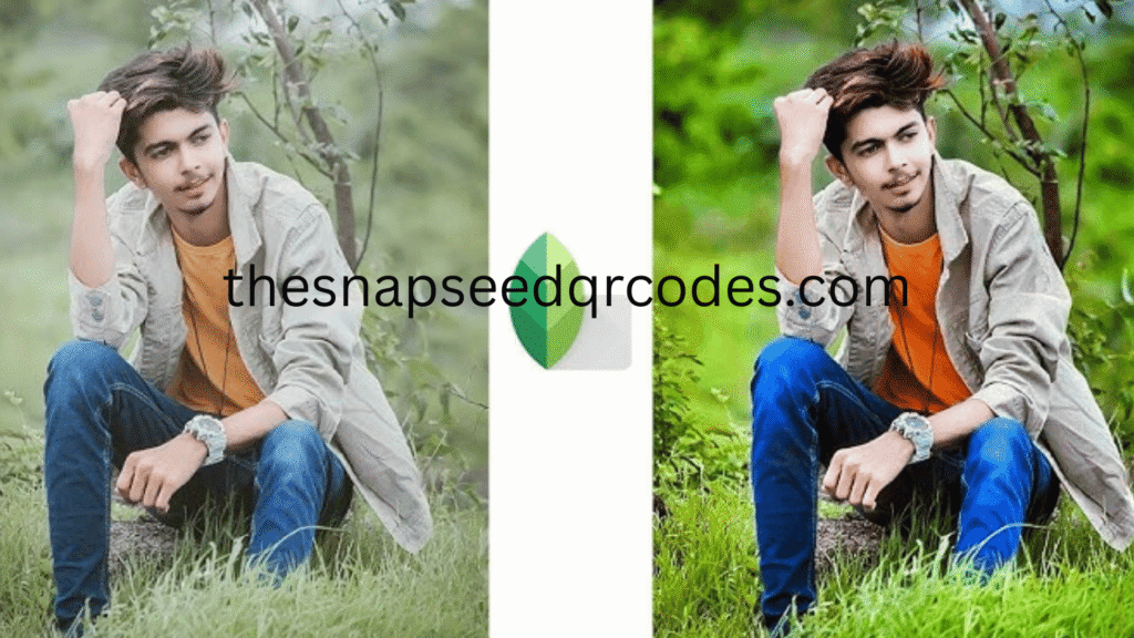 Snapseed QR Codes
