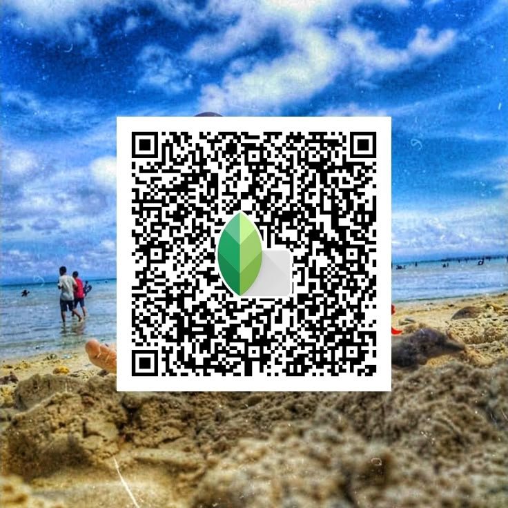 Snapseed QR Code Blue and Brown