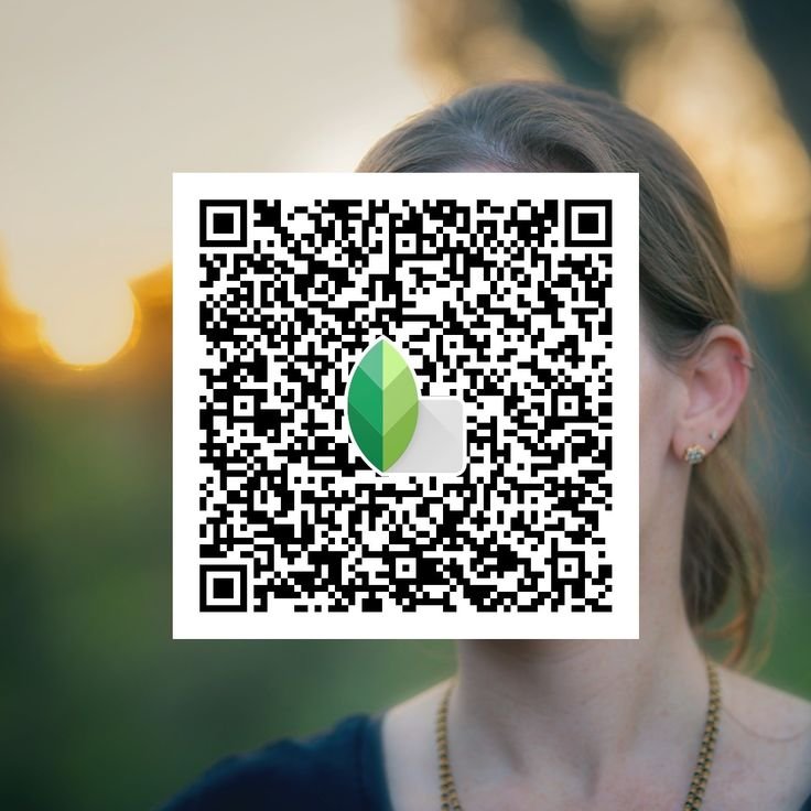 Snapseed QR Code Blue and Brown