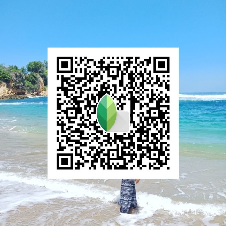 Snapseed QR Code Blue and Brown