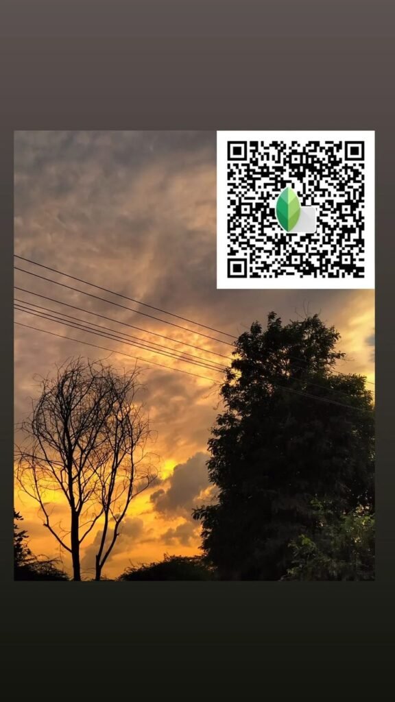Snapseed QR Code Blue and Brown