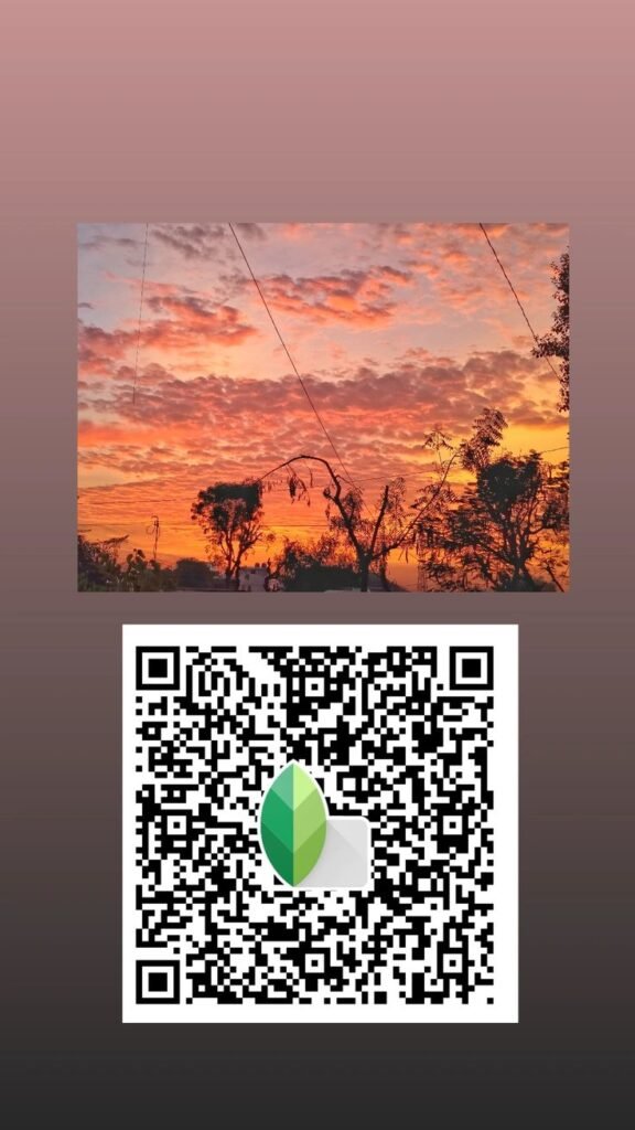 Snapseed QR Code Blue and Brown