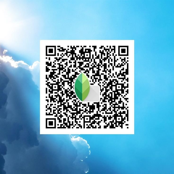 Snapseed QR Code Blue and Brown