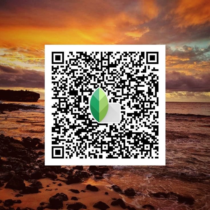 Snapseed QR Code Blue and Brown