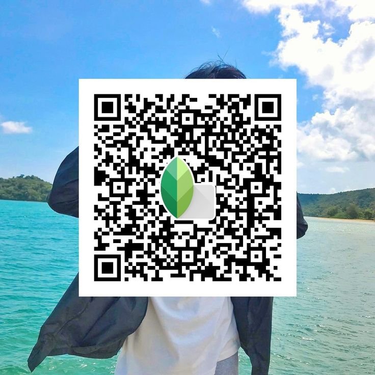 Snapseed QR Code Blue and Brown