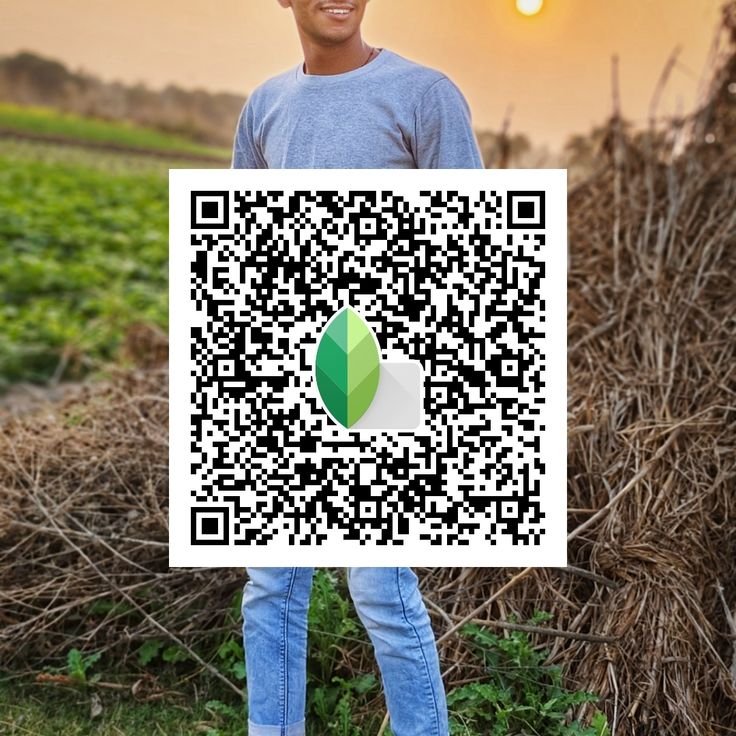 Snapseed QR Code Blue and Brown