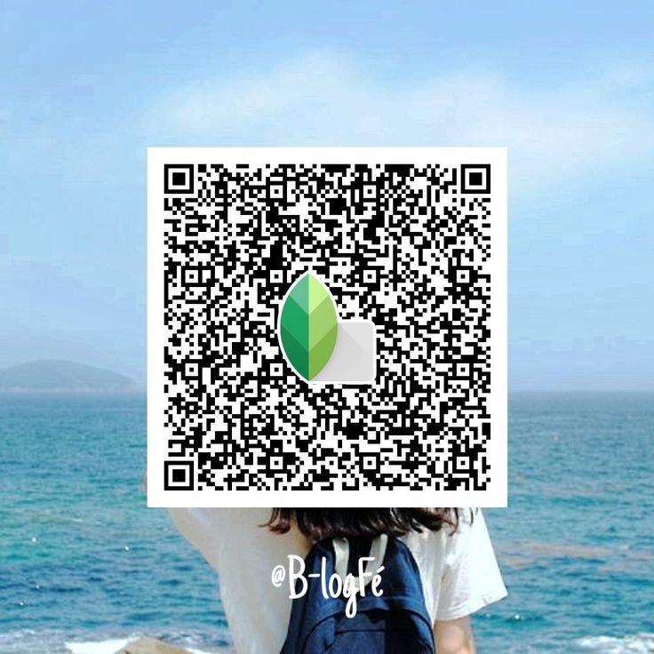 Snapseed QR Code Blue and Brown