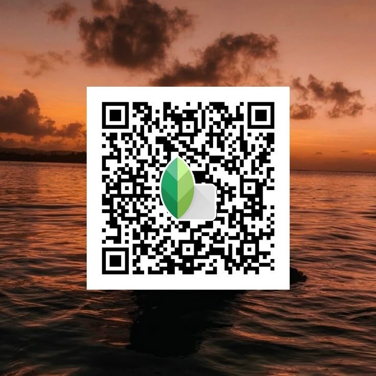 Snapseed QR Code Blue and Brown